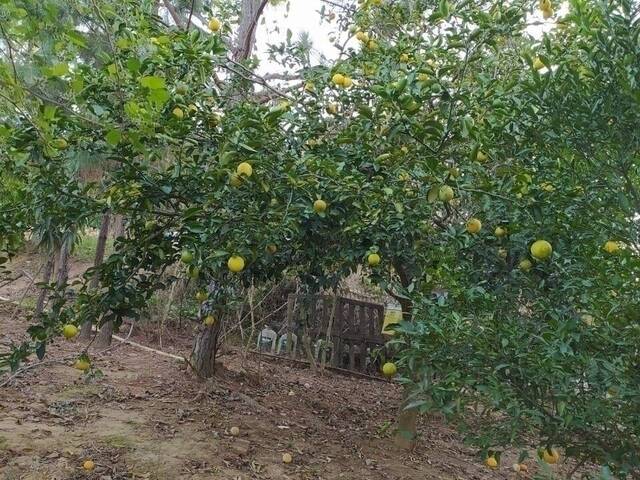 #9 - Chácara para Venda em Piedade - SP