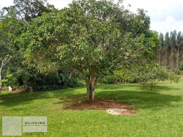 #98 - Chácara para Venda em Alambari - SP