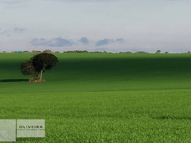 #160 - Fazenda para Venda em Paranapanema - SP - 2