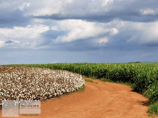 #160 - Fazenda para Venda em Paranapanema - SP - 1