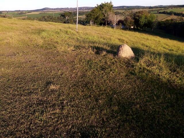 #172 - Sítio para Venda em Itapetininga - SP - 1