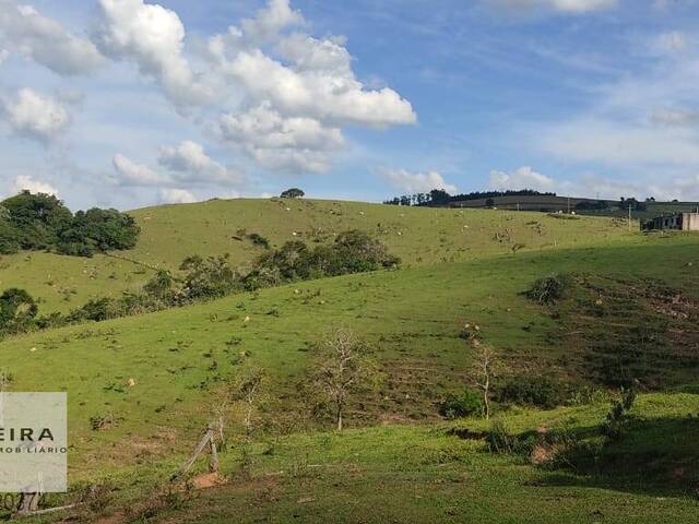 Venda em Zona de Pecuária - Pilar do Sul