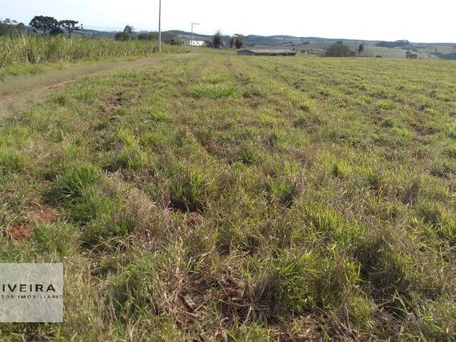 #187 - Fazenda para Venda em Pilar do Sul - SP - 2