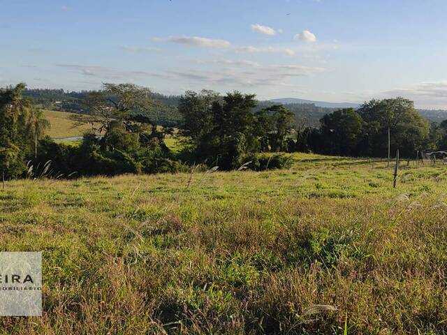 #201 - Sítio para Venda em Porto Feliz - SP - 3