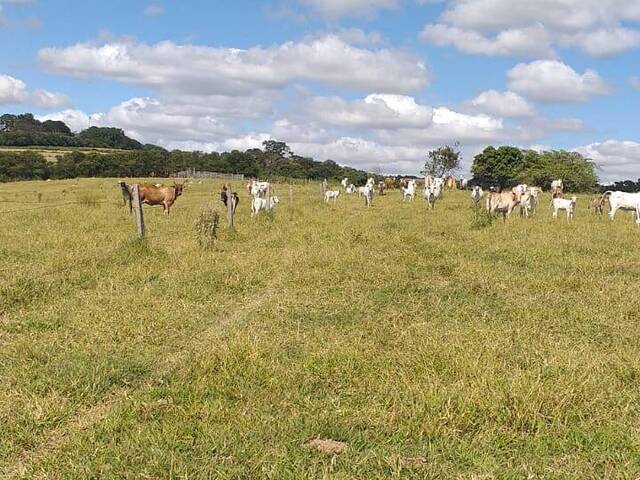 #221 - Área / lotes / Terrenos para Venda em Sorocaba - SP - 2