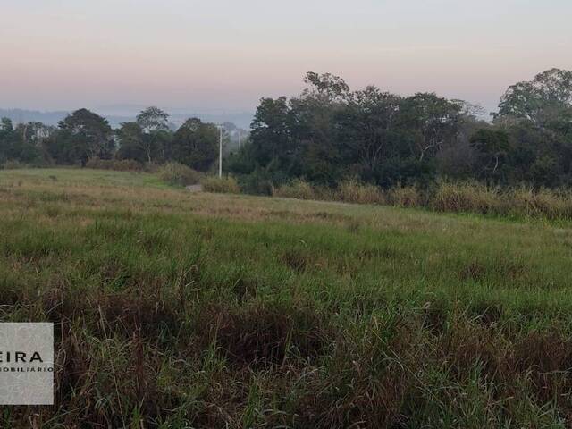 #230 - Área / lotes / Terrenos para Venda em Porto Feliz - SP - 2