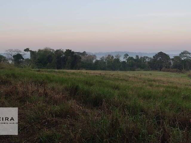 #230 - Área / lotes / Terrenos para Venda em Porto Feliz - SP - 3