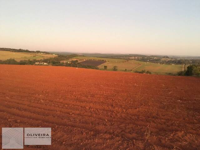 #2 - Área / lotes / Terrenos para Venda em Araçoiaba da Serra - SP - 3