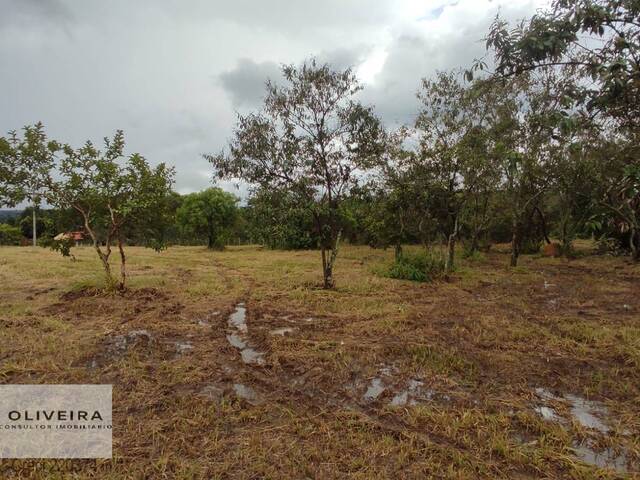 #300 - Área / lotes / Terrenos para Venda em Araçoiaba da Serra - SP - 3