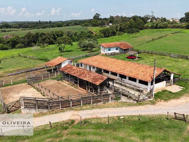 #399 - Chácara para Venda em Alambari - SP - 3