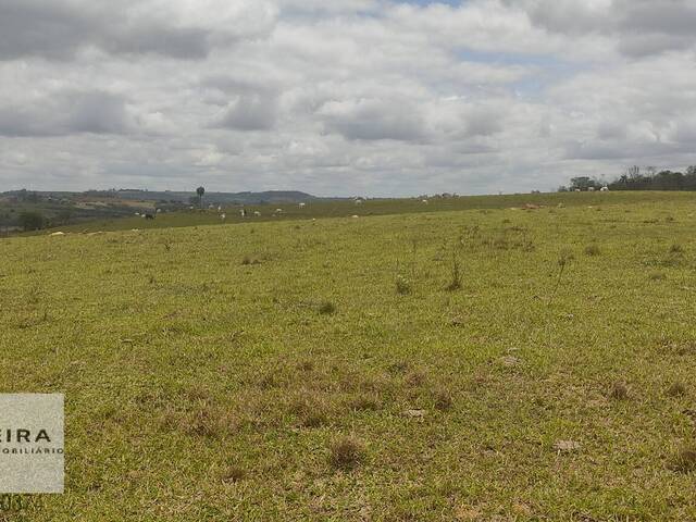 #417 - Chácara para Venda em Itapetininga - SP - 2